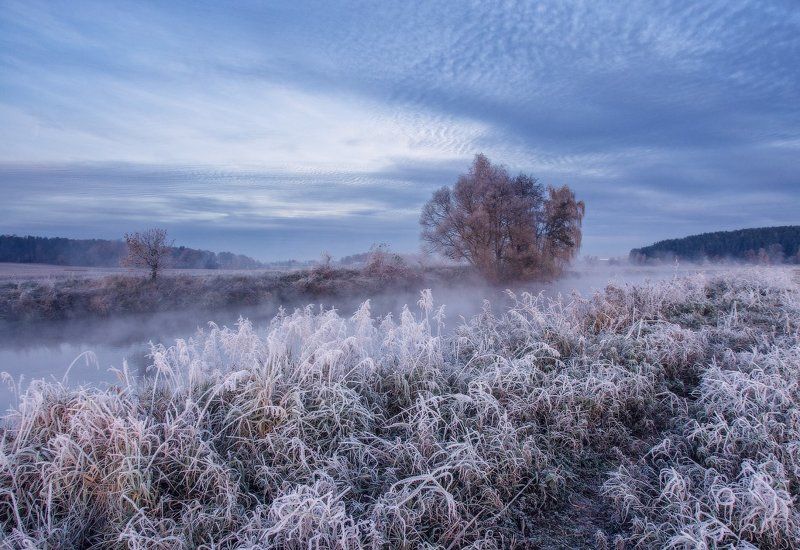 утро, иней, мороз, свислочь, рассвет, туман Морозное утро фото превью