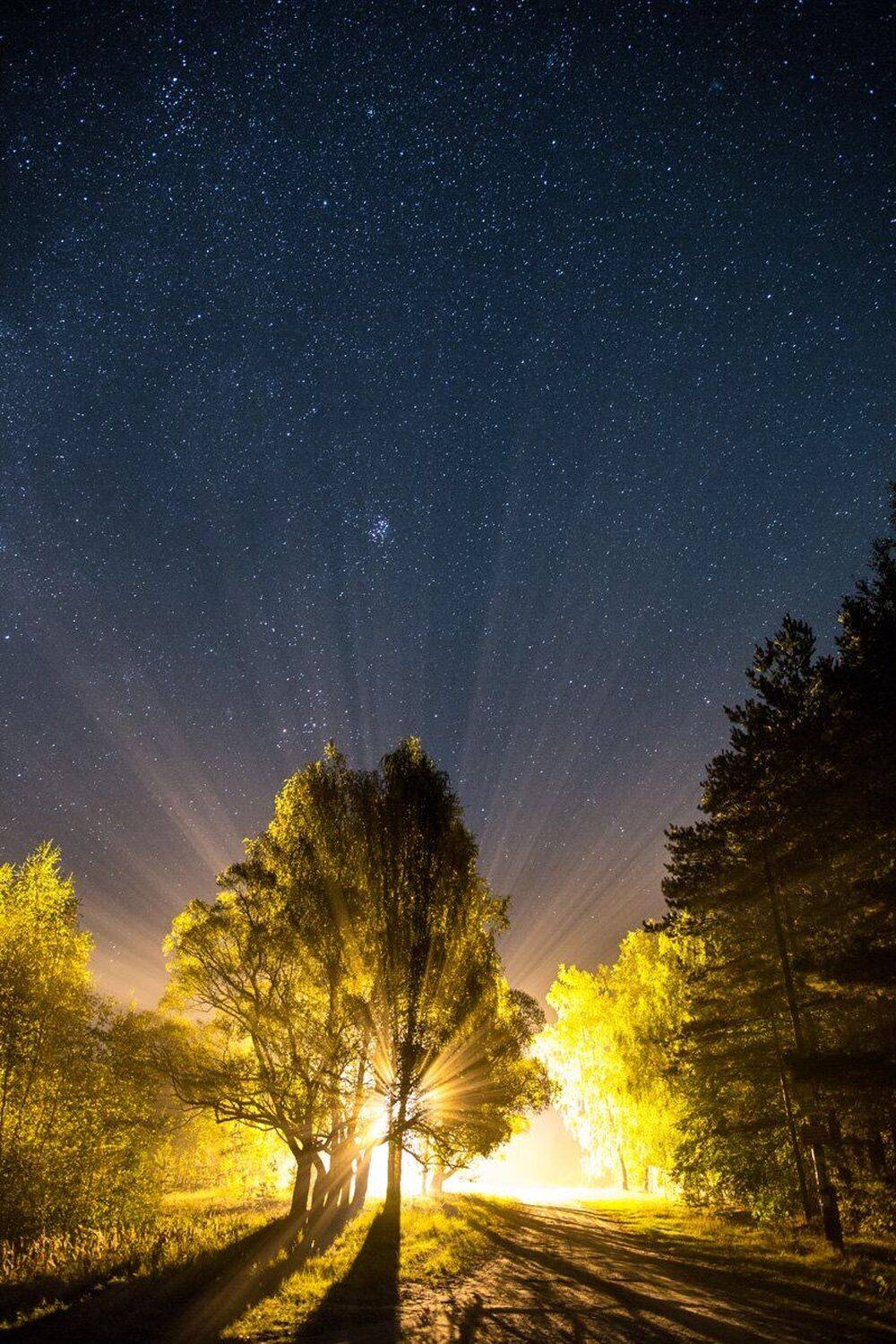 , Максим Ильин