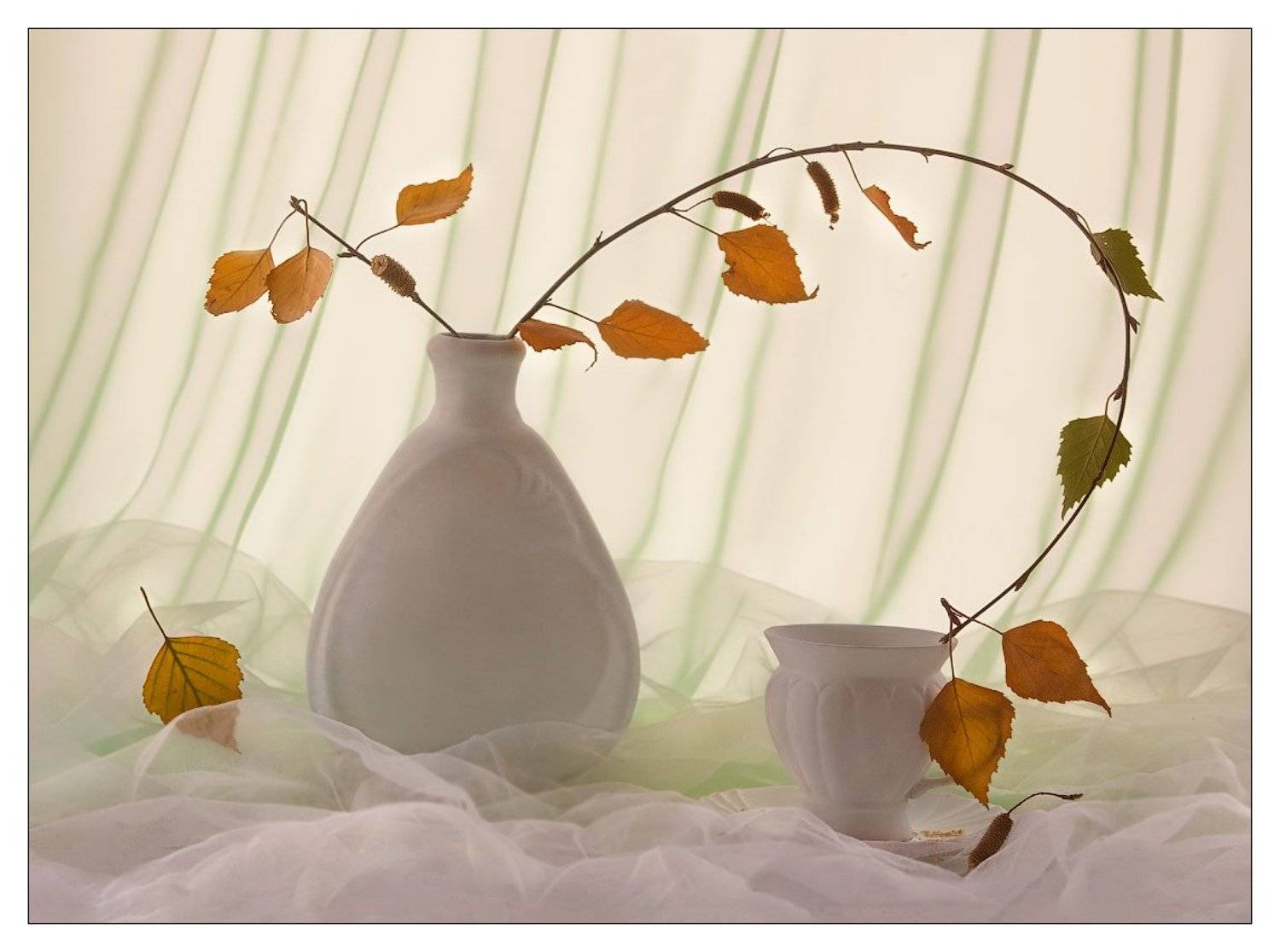 , Ирина Фурашова