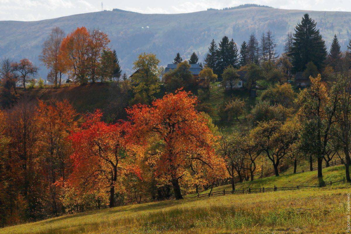 , Ярослав Тюрменко (Jaremi)
