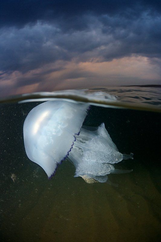 Предчувствие грозы фото превью