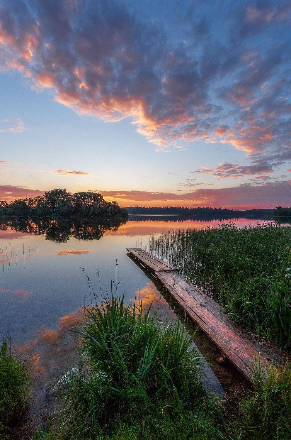 валдай, Тимофей Шутов
