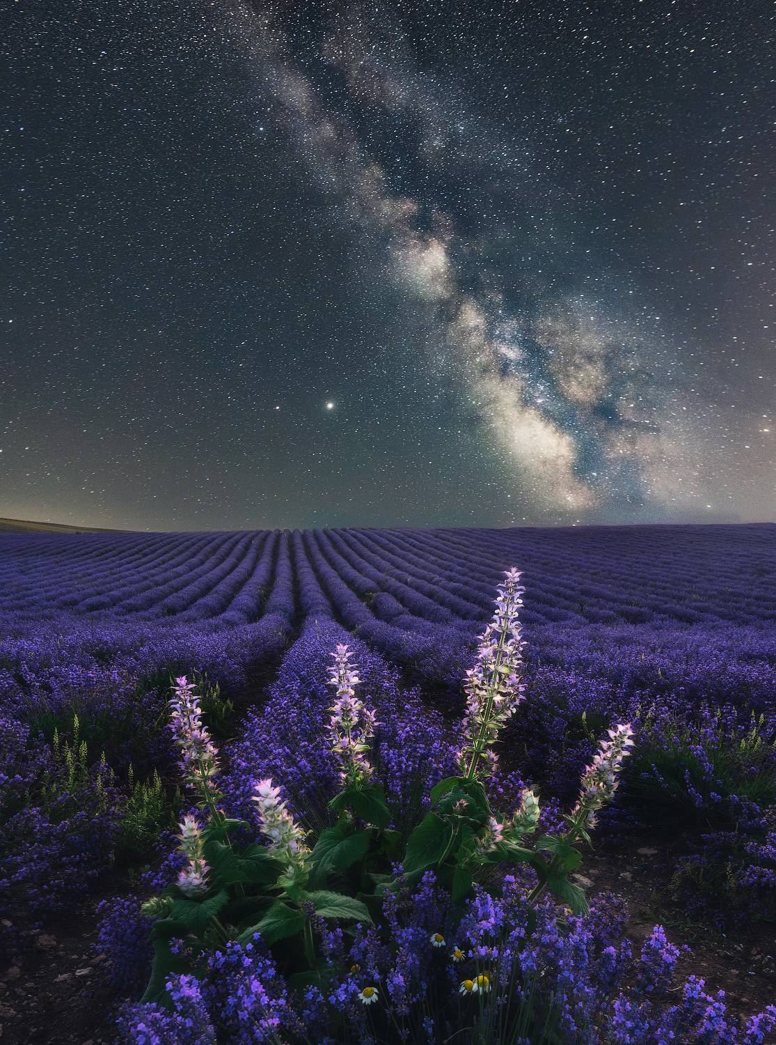крым, лаванда, лавандовое поле, млечный путь, звезды, звездное небо, ночной пейзаж, астрофотография, фототур, ночь, лучшие фотографии, россия, Лузанов Вячеслав