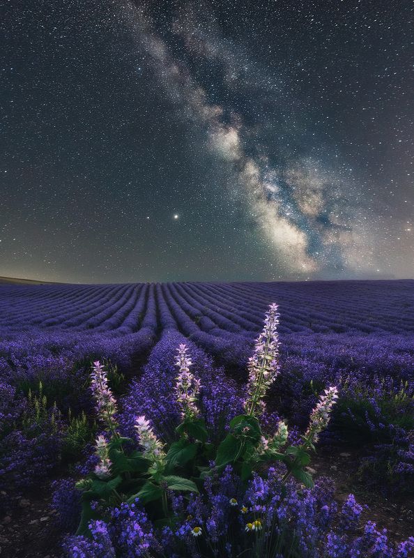 крым, лаванда, лавандовое поле, млечный путь, звезды, звездное небо, ночной пейзаж, астрофотография, фототур, ночь, лучшие фотографии, россия Сны лавандового поля. Крым фото превью