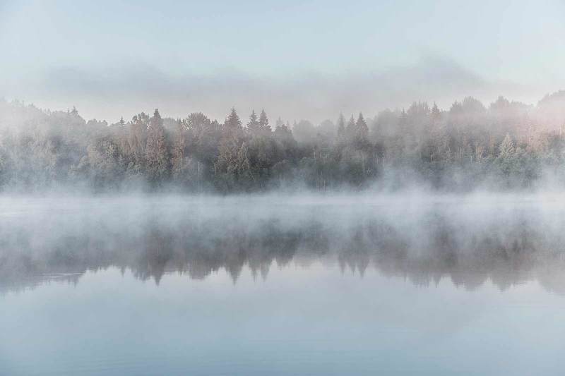 Туманное утро фото превью