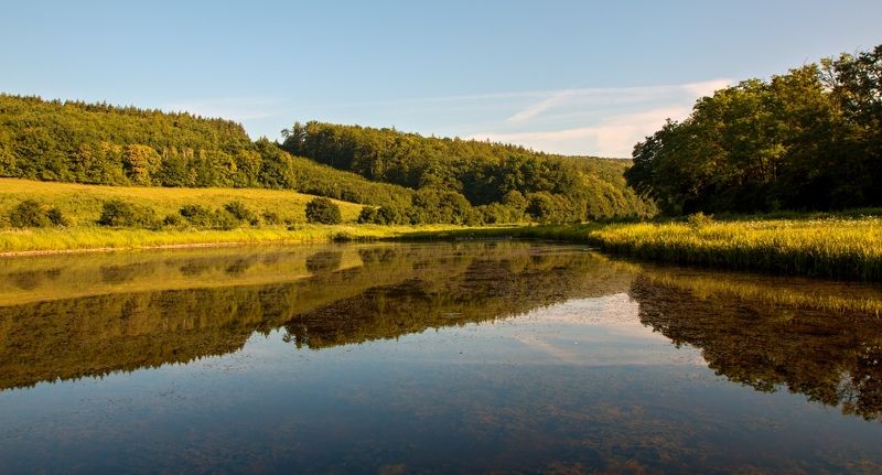 Morning by the pond фото превью