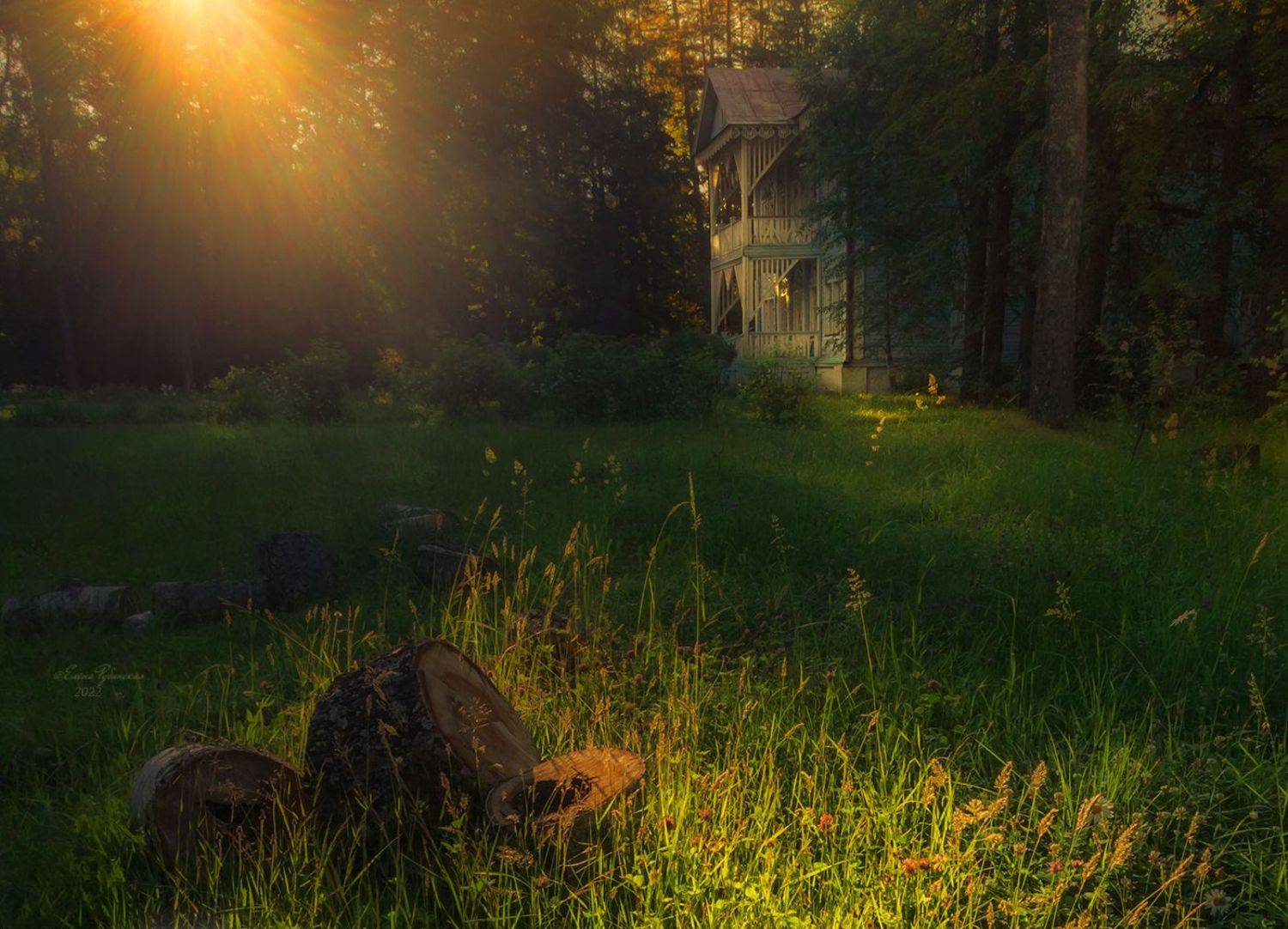 щелыково, Елена Рубинская