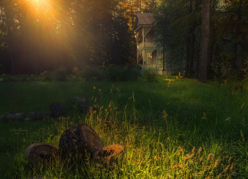 щелыково Утро. Щелыково фото превью