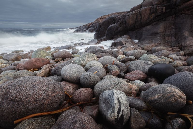 Кольский полуостров, Териберка Побережье Баренцева моря. Териберка. фото превью