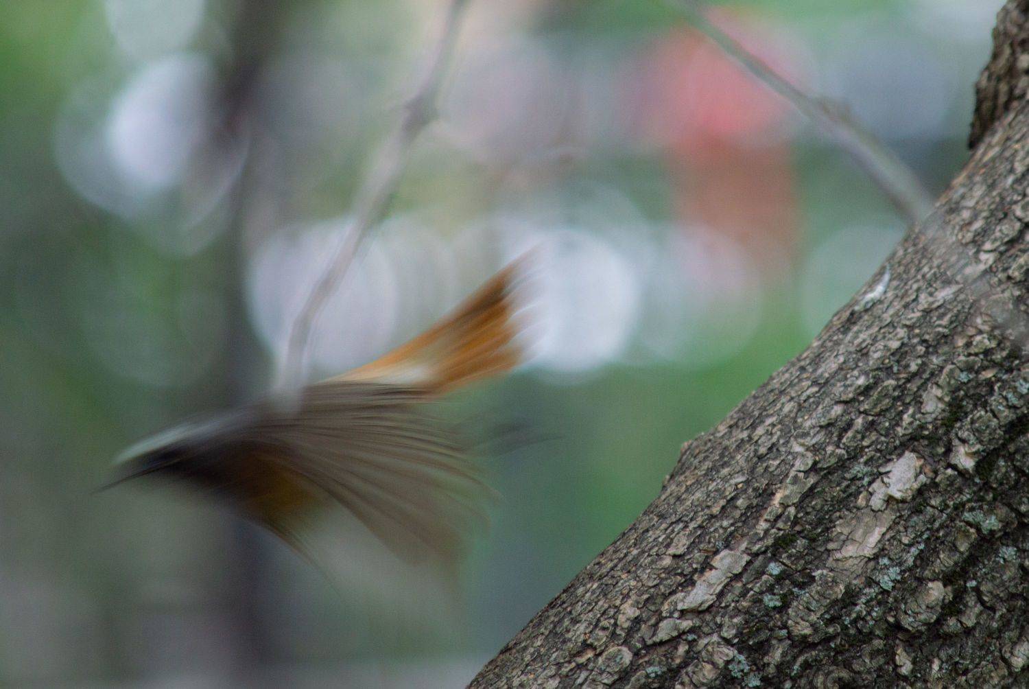 , Андрей Красников