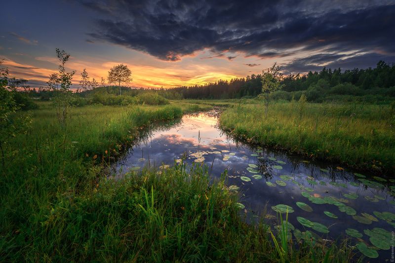 Ленобласть фото превью