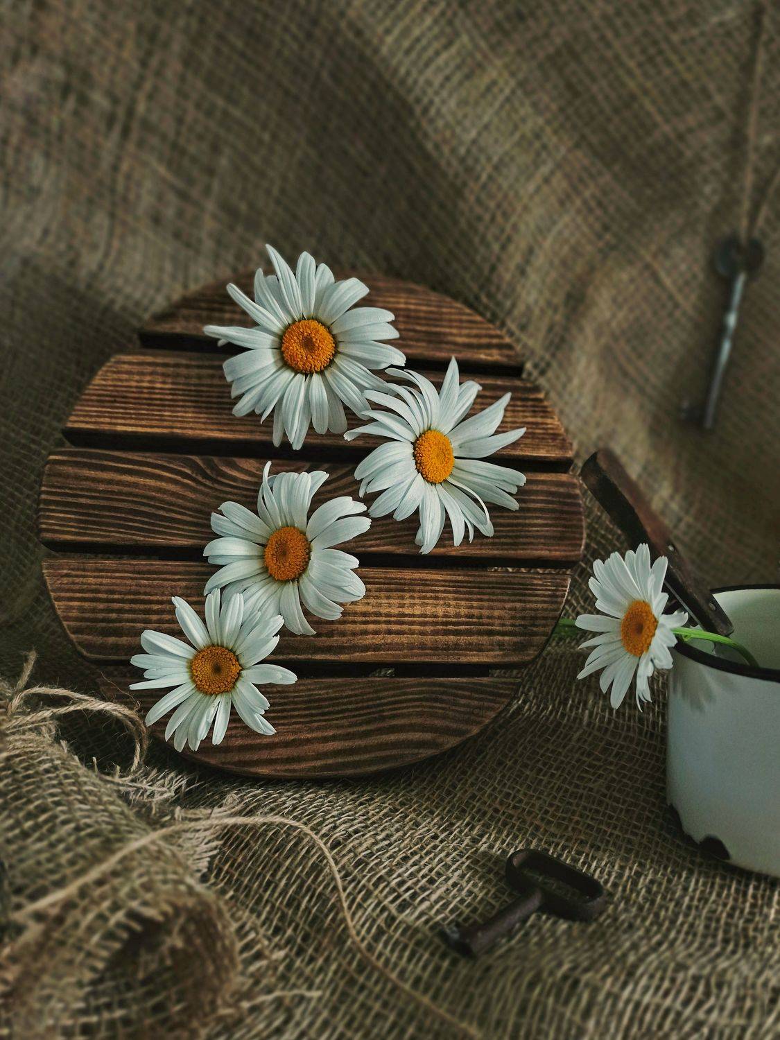 , Дина Полухина