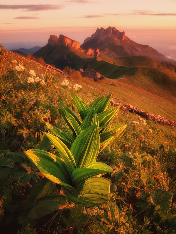 Большой Тхач фото превью