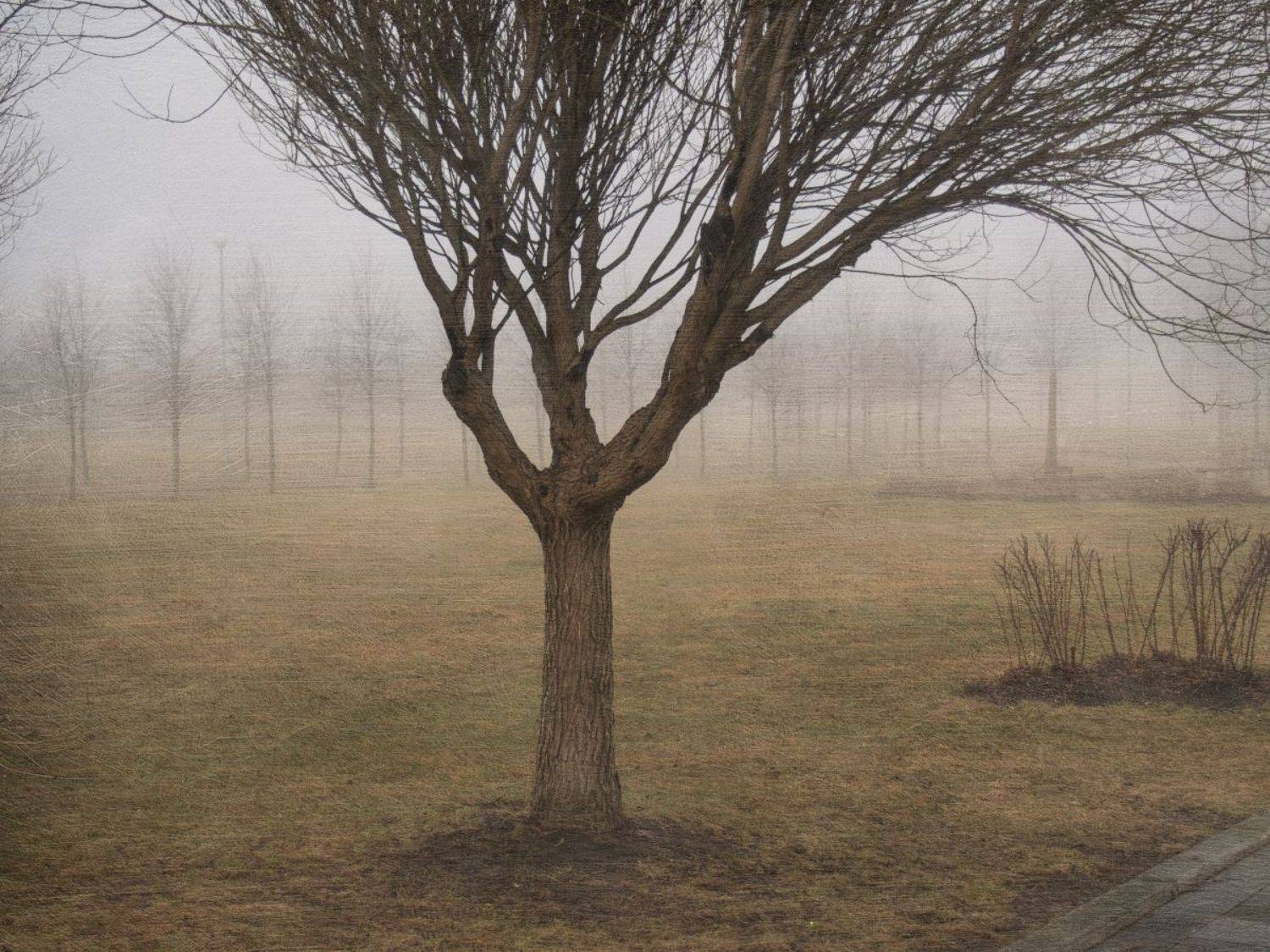 , Штабнов Юрий