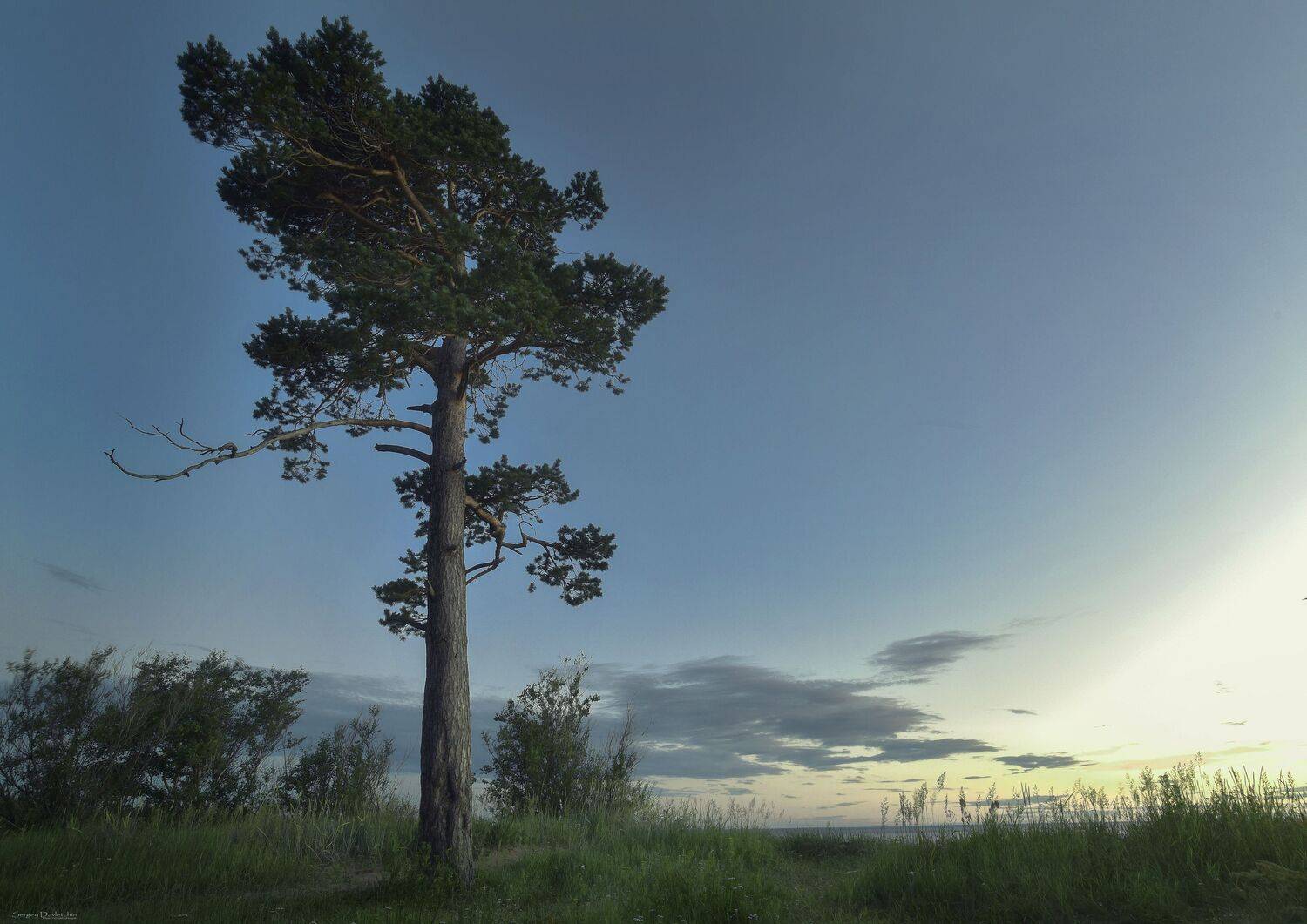 , Сергей Давлетшин