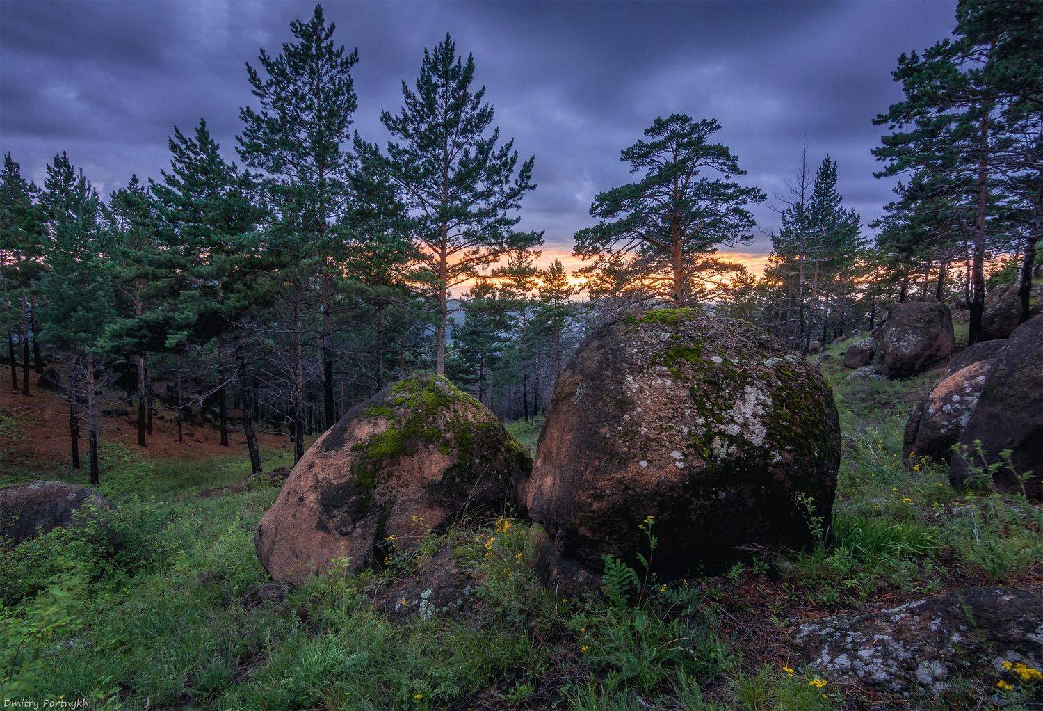 лес, камни, пейзаж, дождь, природа, Портных Дмитрий