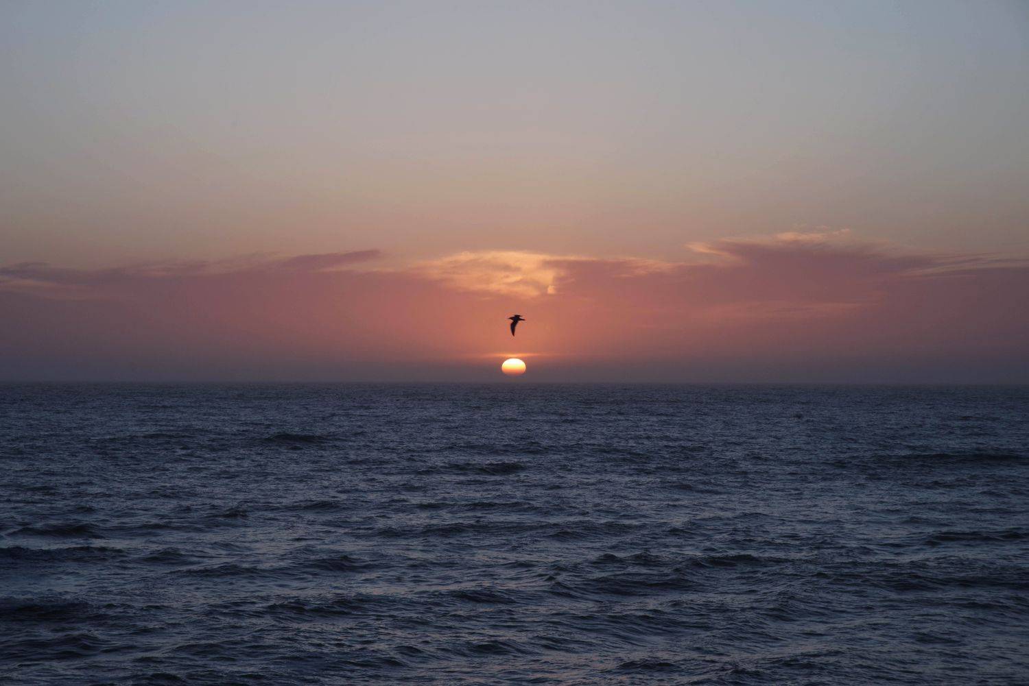 , Ольга Беккер