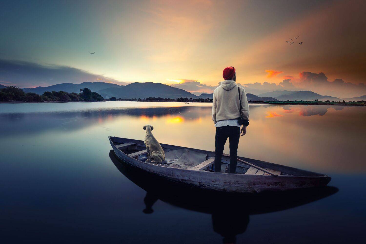 лодка, собака, мужчина, Sergii Vidov