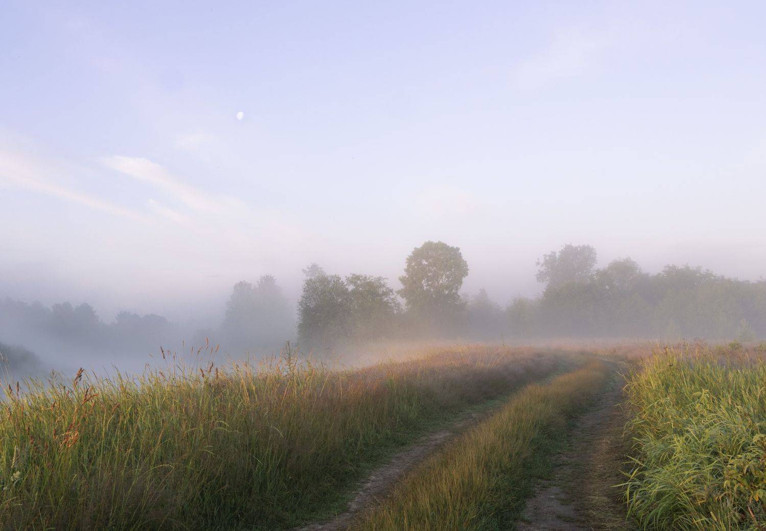 природа, пейзаж, туман, Ольга Бонина