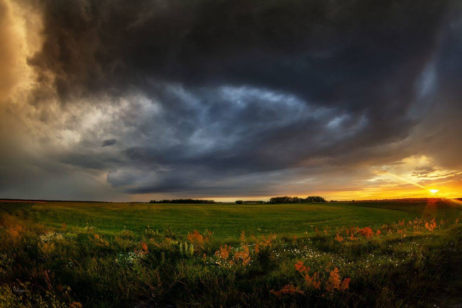 Беларусь , Серж Домбровский