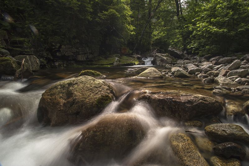 тайга, горы, река  фото превью