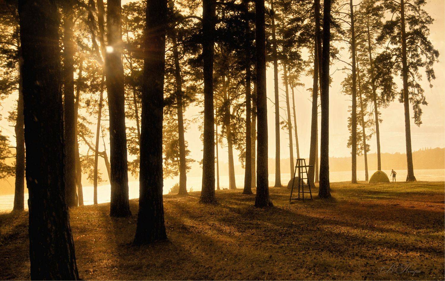 сосны озеро палатки человек, Вера Петри