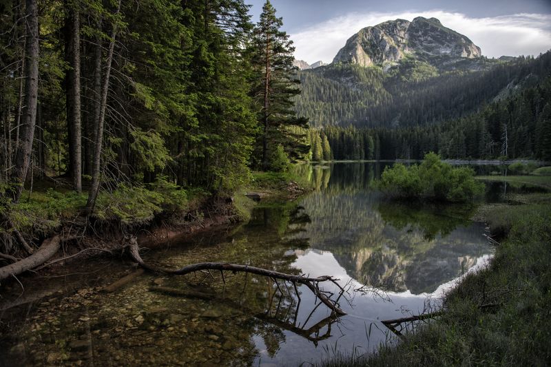 *** фото превью