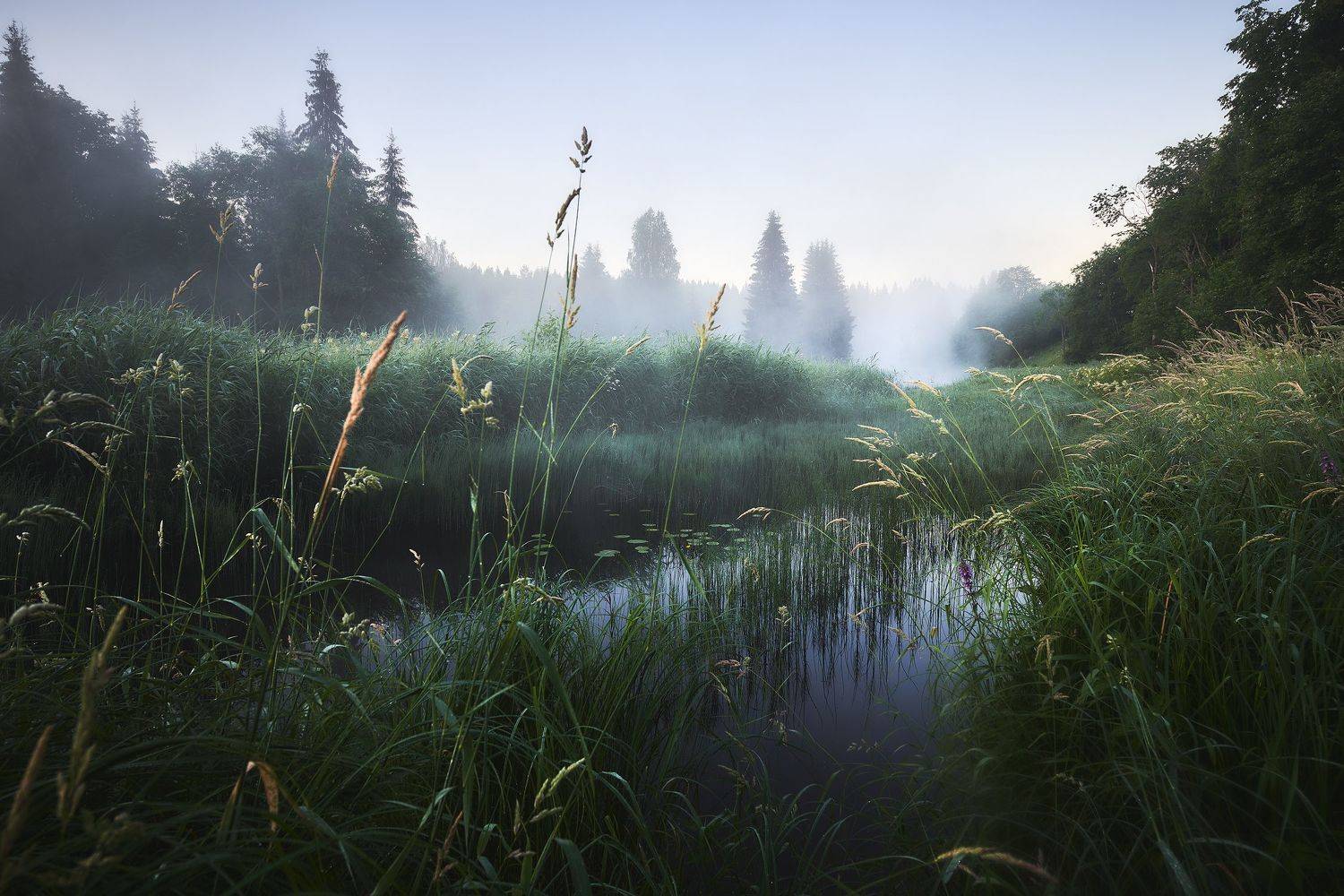 , Кононов Антон