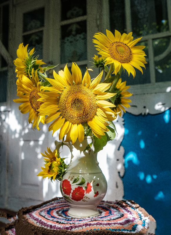 The home фото превью