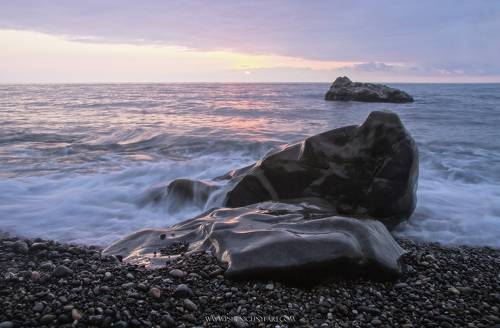 Стражи залива