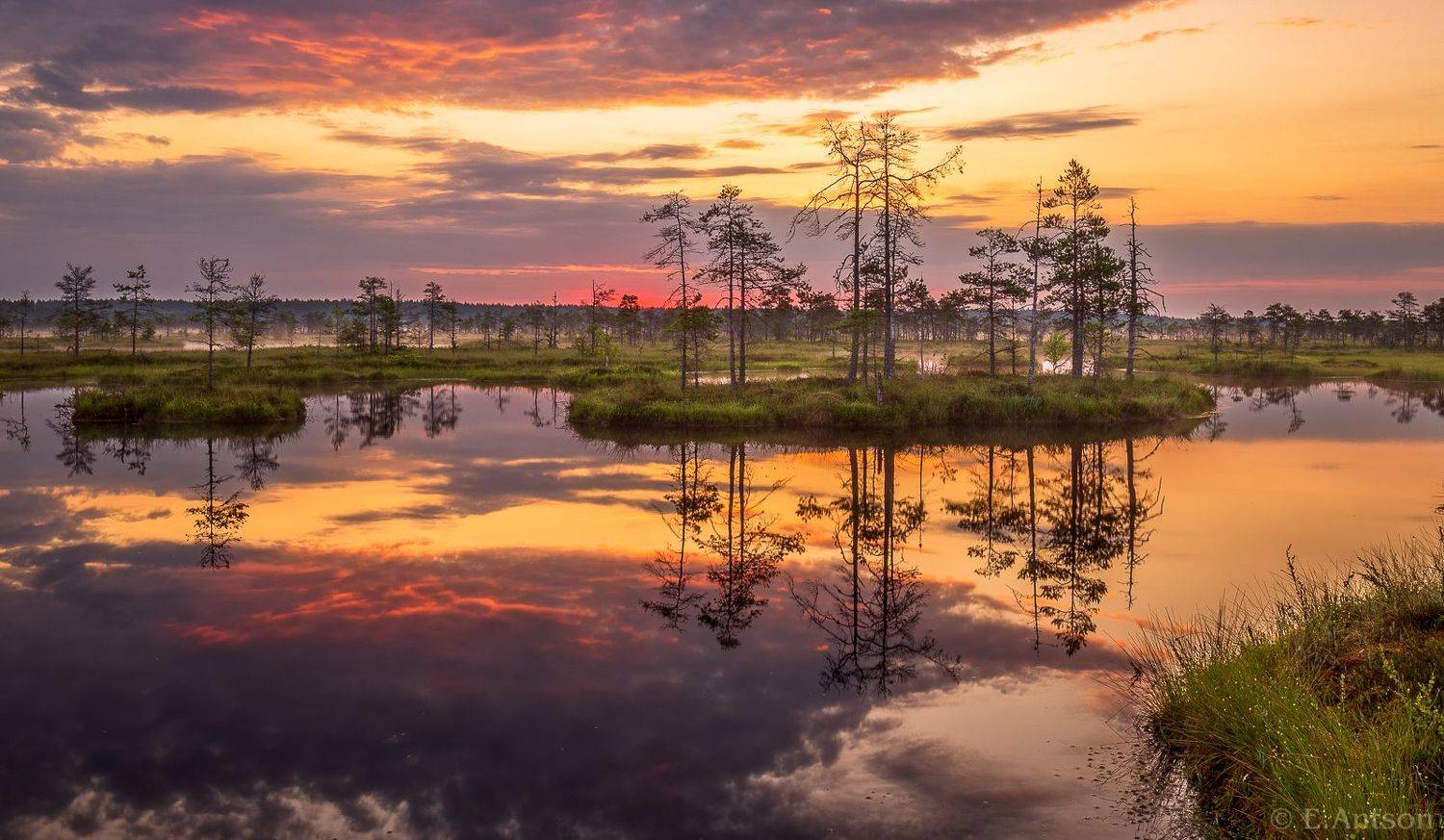 пейзаж, природа, эстония, Elvis Antson