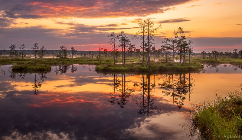пейзаж, природа, эстония Рассвет на болоте фото превью