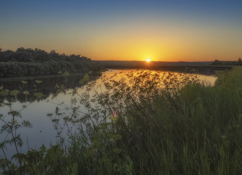вечер, закат, природа,лето, травы Вечереет... фото превью