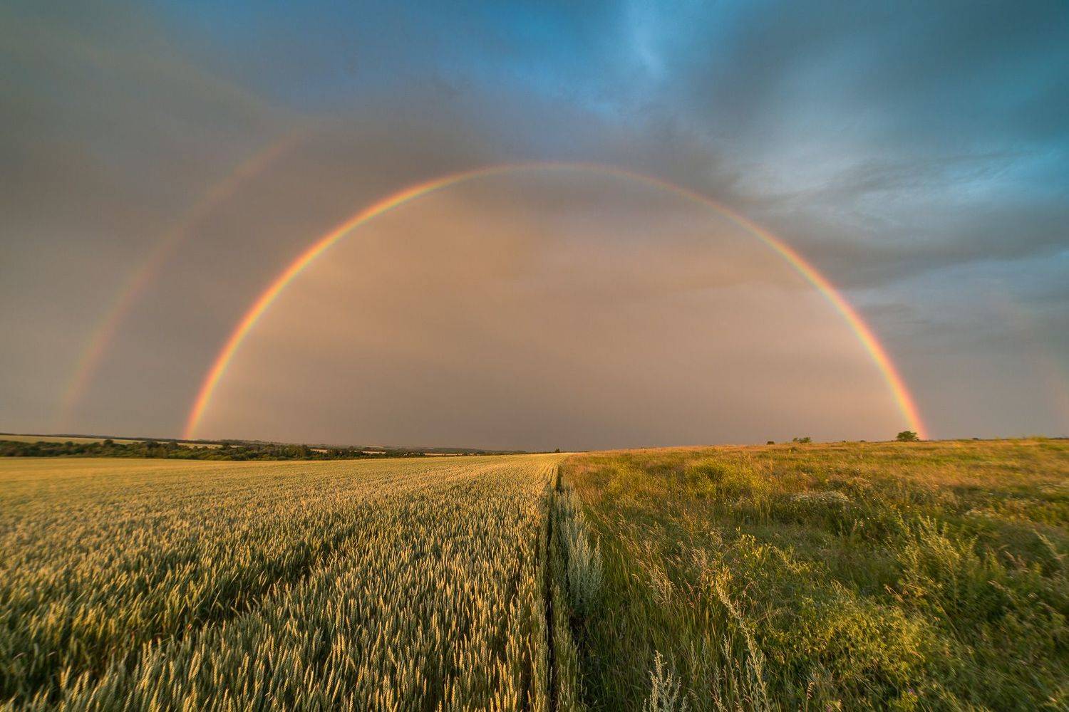 пейзаж, степь, дождь, лето, июнь, landscape, summer, steppe, радуга, rainbow, Алексей Юденков