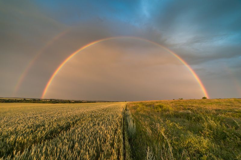 пейзаж, степь, дождь, лето, июнь, landscape, summer, steppe, радуга, rainbow The rainbow фото превью