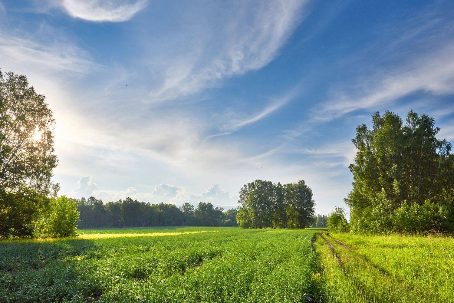 , Сергей Романчук