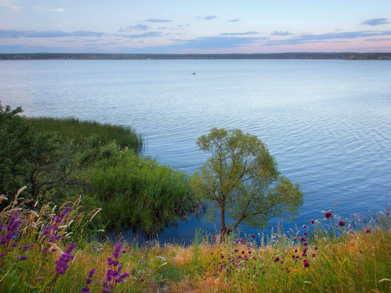 река, вечер, берег, украина, пейзаж, природа, river, evening, coast, ukraine, landscape, nature, Виктор Тулбанов
