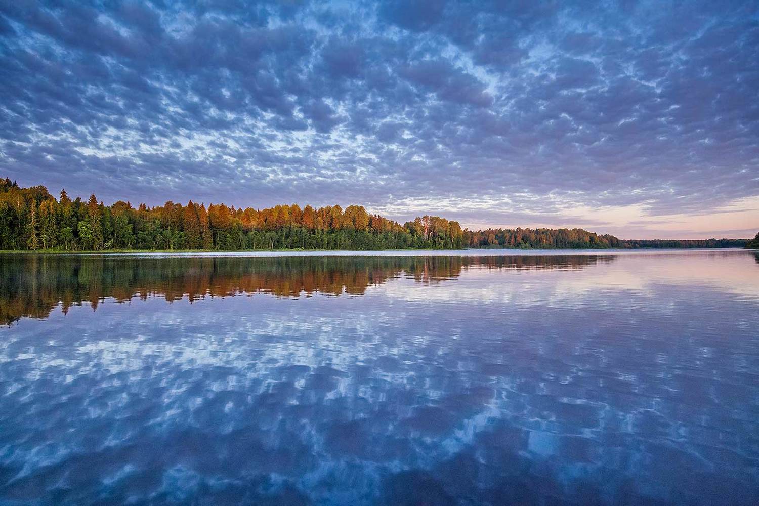 , Напалкин Станислав