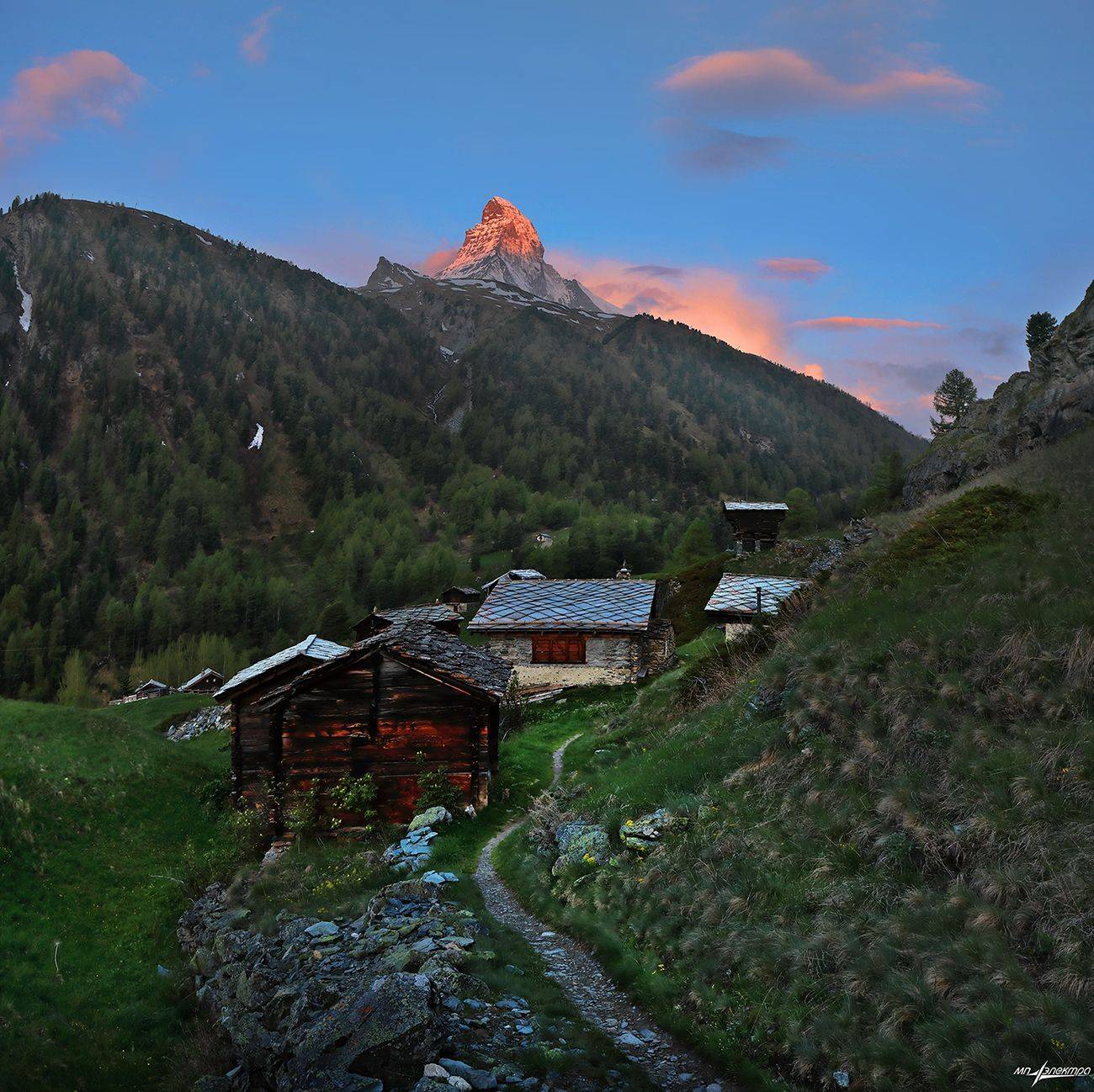 swiss, Матвеев Николай