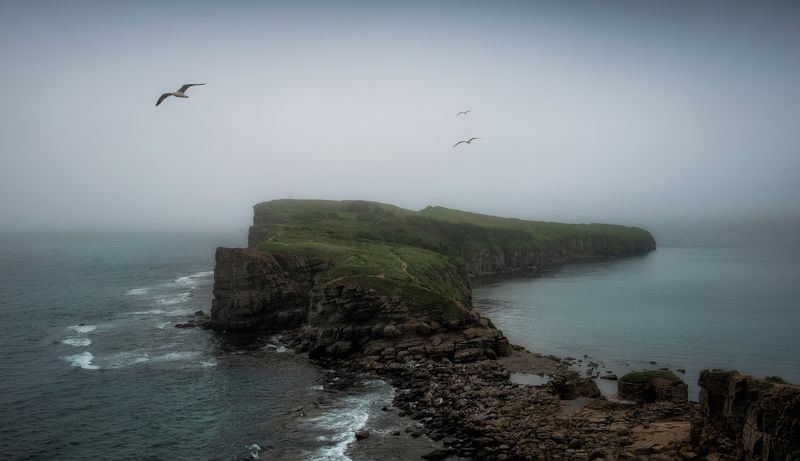 Мыс Тобизина. о. Русский. фото превью