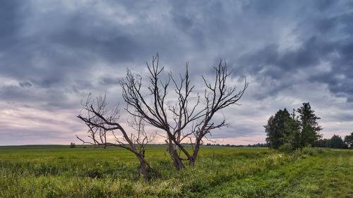 Хмурое Лето