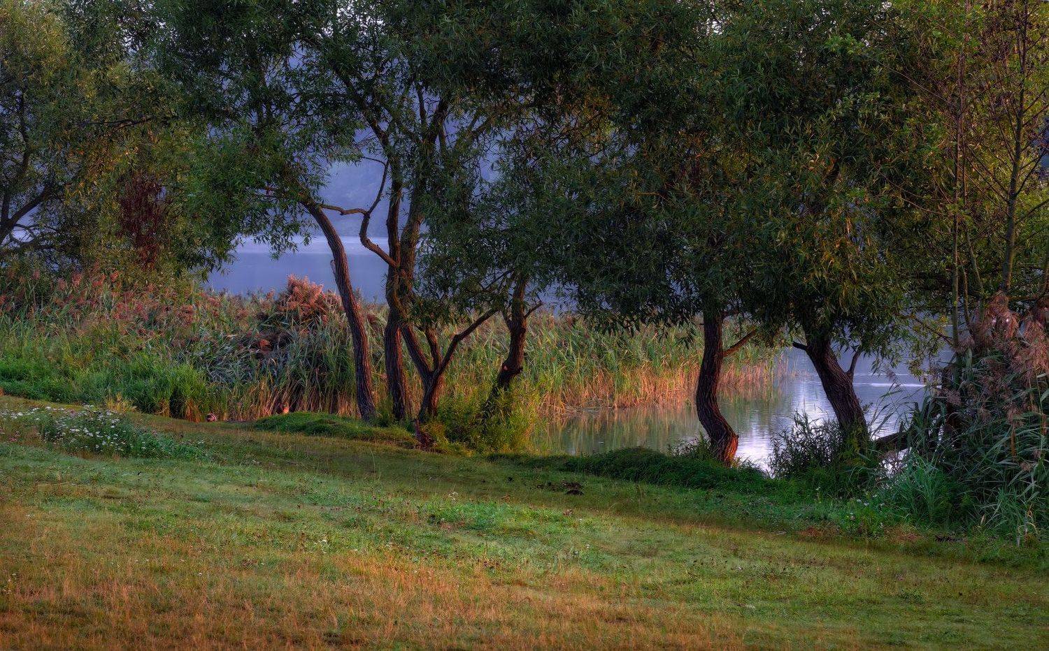 утро, озеро, берег,, Сергей Шабуневич