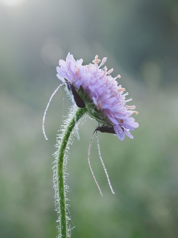Укрытие фото превью