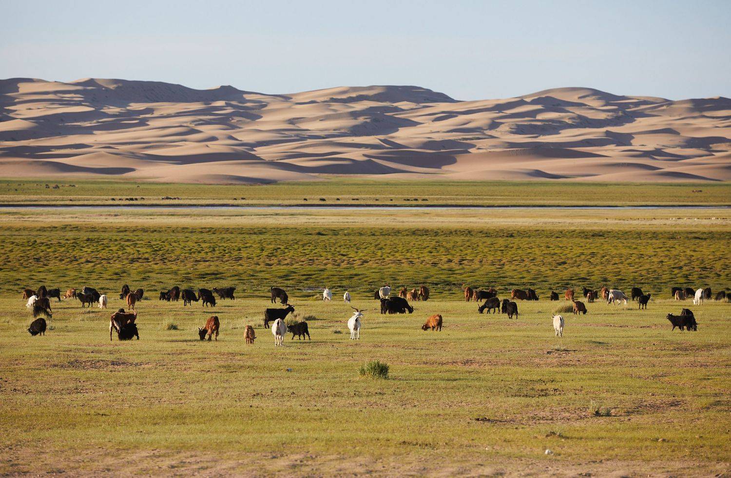 река, пейзаж, пустыня, природа, Станислав Попов
