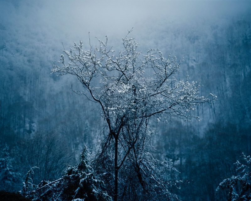 Winter in spring фото превью