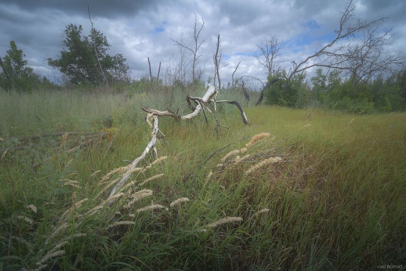 ... фото превью