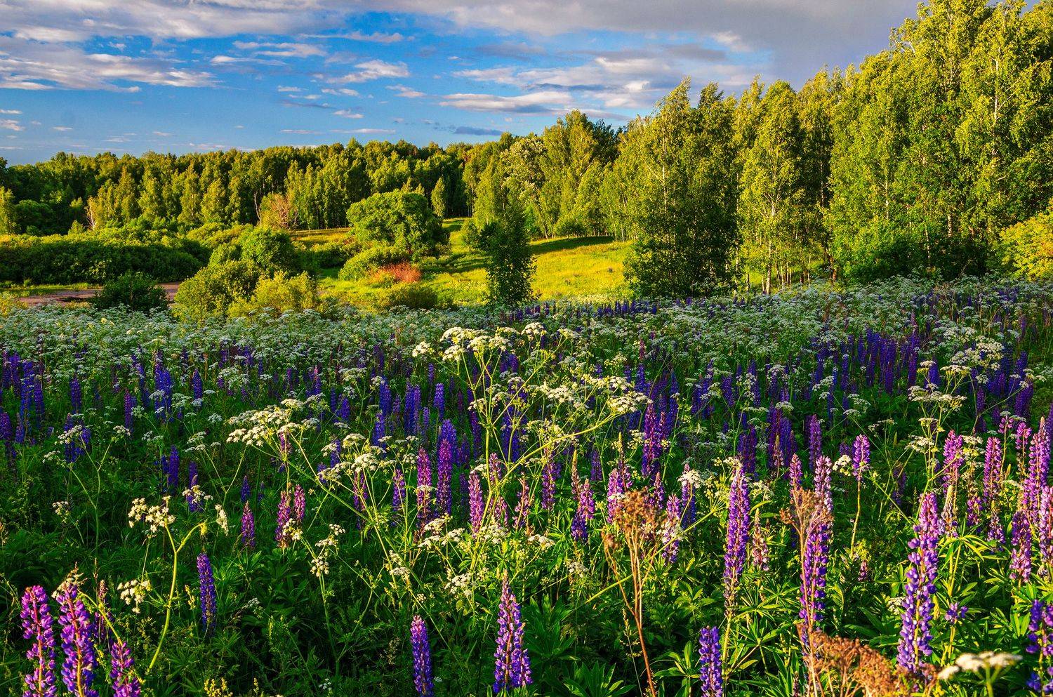 nevant60, пейзаж, красота, природа, Александр Березуцкий