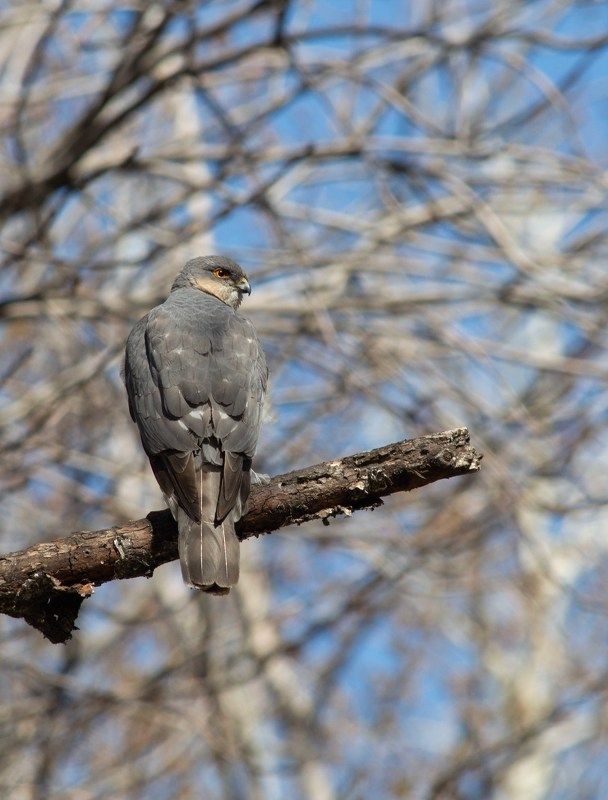 ожидание фото превью