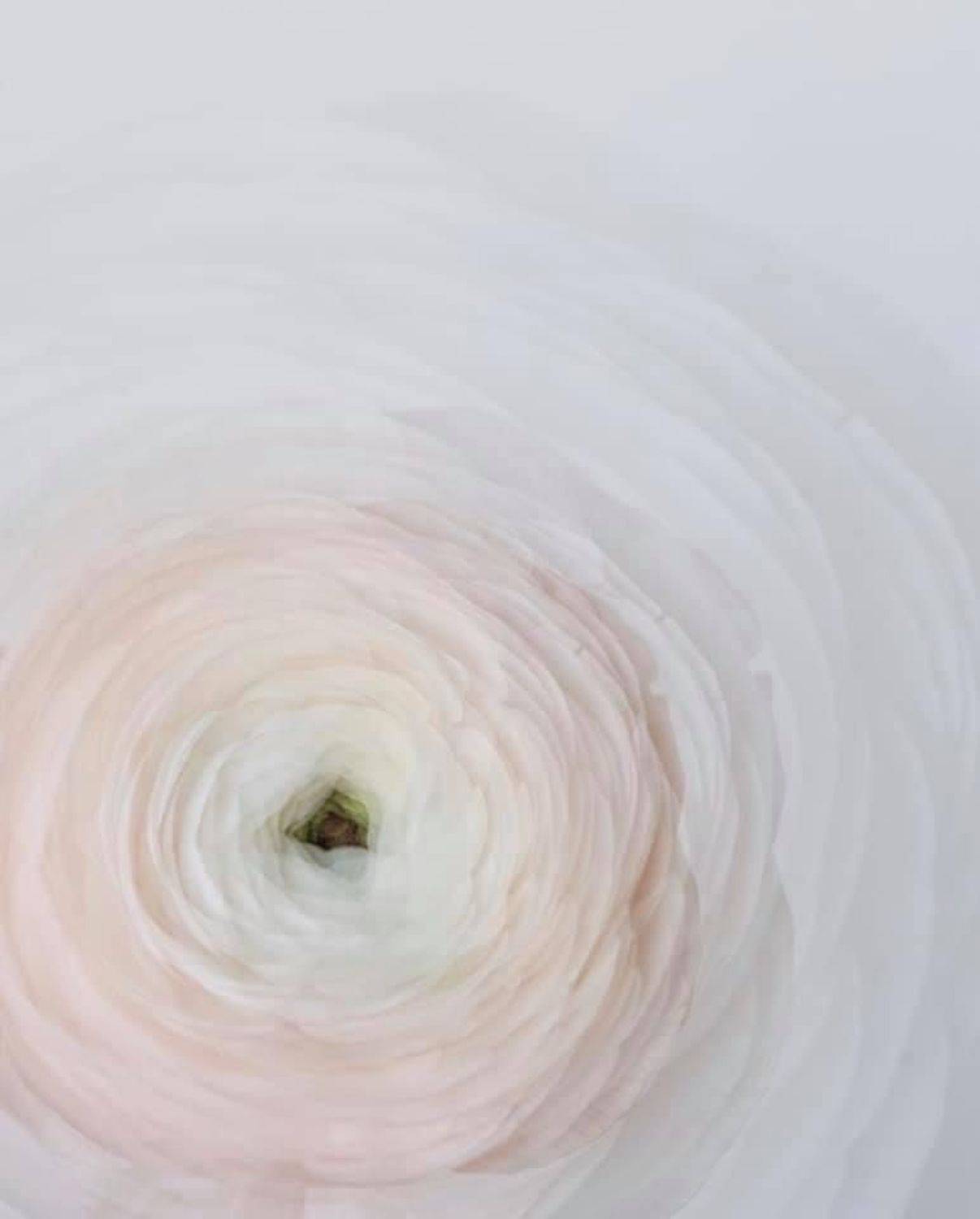 ,  Ксения Максименко