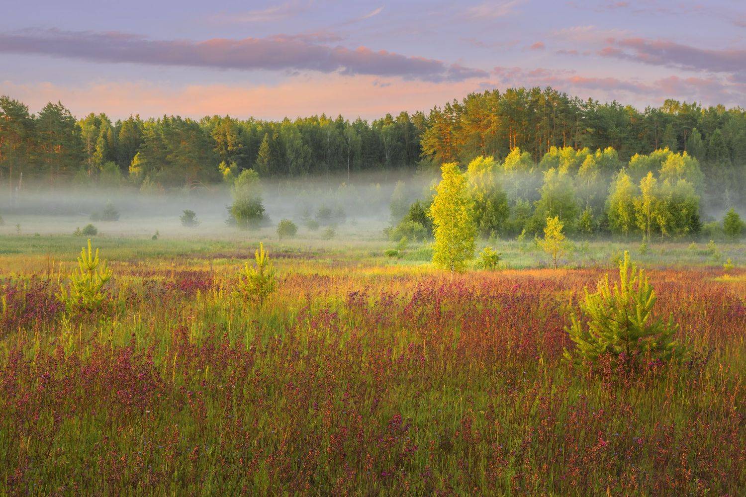 Фототуры с Владимиром Рябковым, #topnature #russpasibo #magic_shots #lovelyRussia #sunset_vision #exclusive_sky  #exclusive_shots #loves_russia2 #photoarena_nature #nature_sultans #nature_perfection #rsa_sky #rsa_sunset #photorussia #rsa_naturepics #sunse, Владимир Рябков